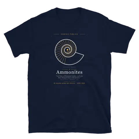 Ammonites