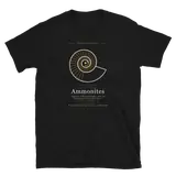 Ammonites