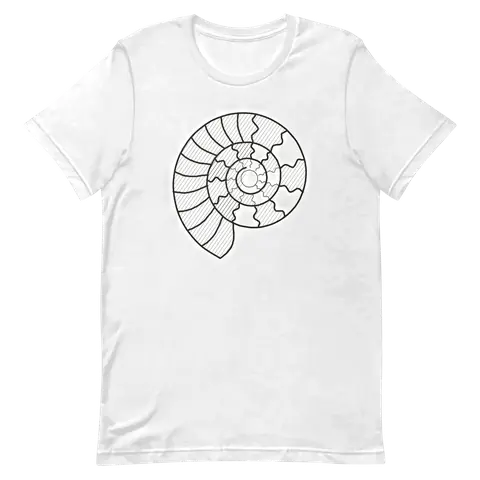 Ammonites