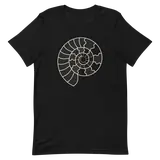Ammonites