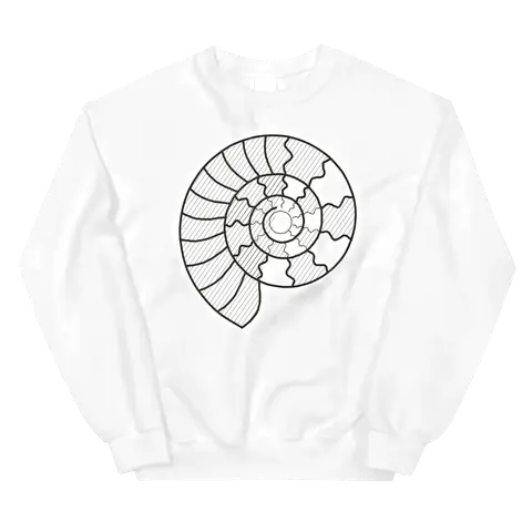 Ammonites