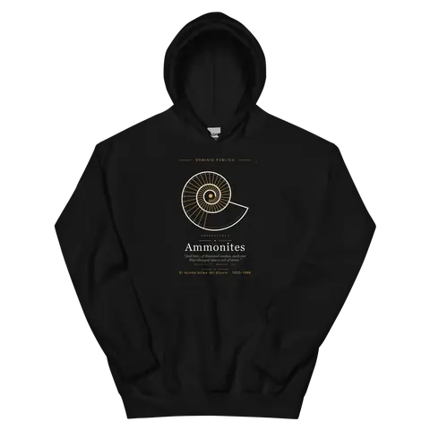 Ammonites