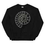 Ammonites