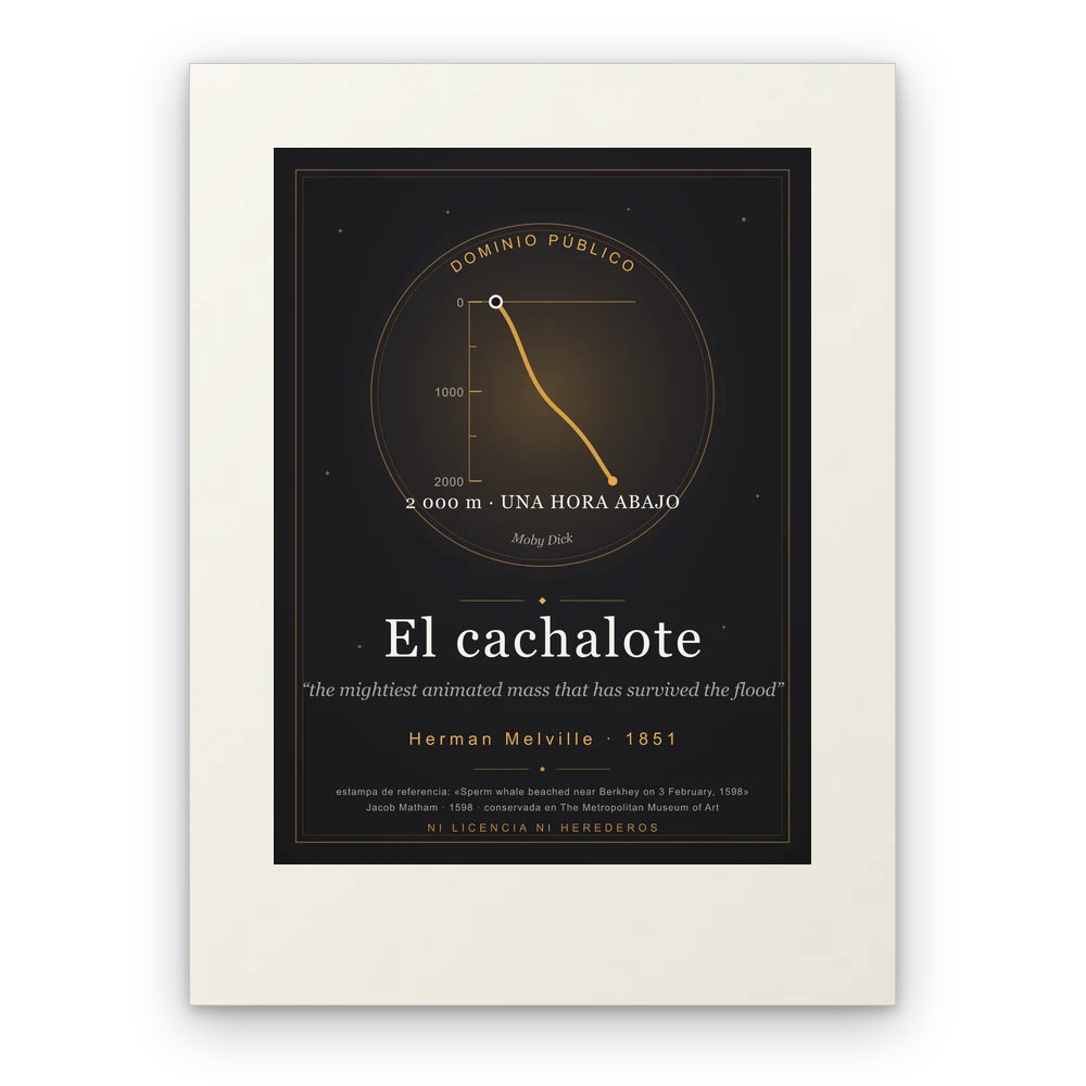 El cachalote, lámina en papel mate