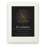 El cachalote