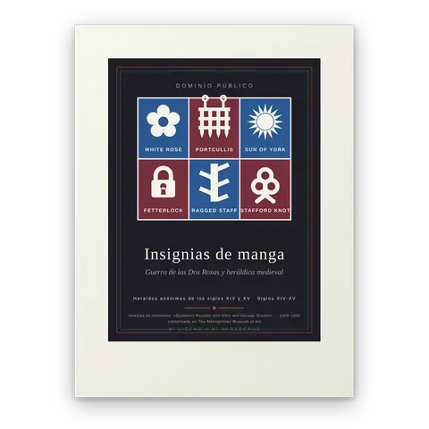 Insignias de manga