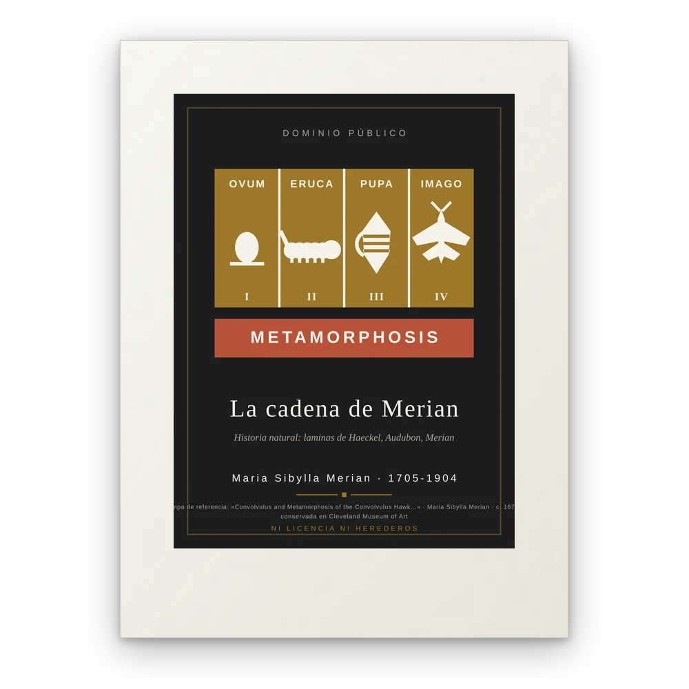 La cadena de Merian, lámina en papel mate