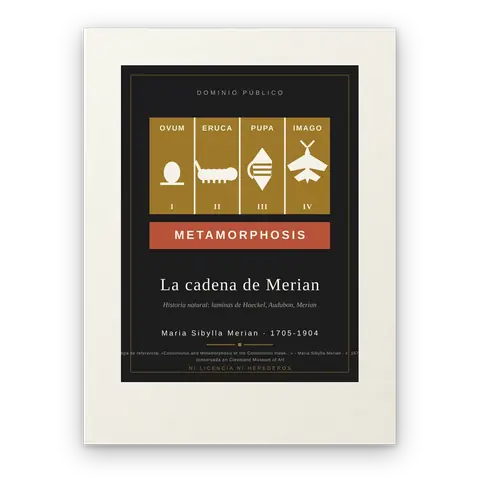 La cadena de Merian