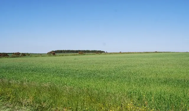 Arable landscape, Embleton Moor - geograph.org.uk - 2600711