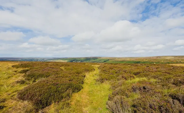 Castleton - North Yorkshire Moors landscape - 01