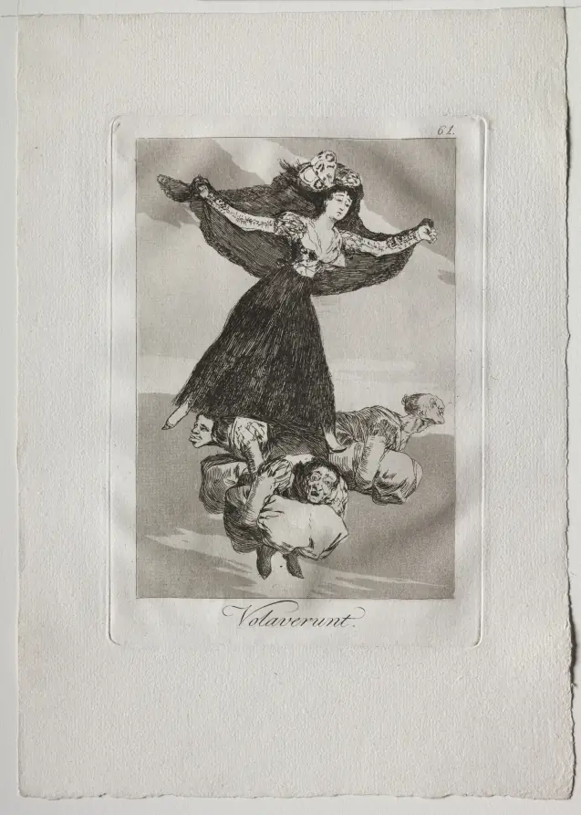 They Have Flown, Plate 61