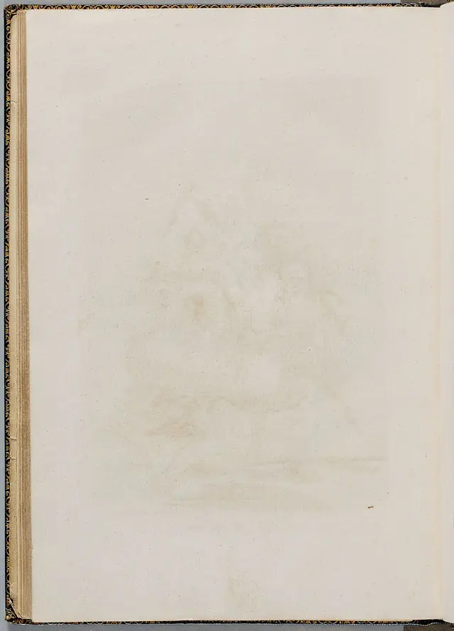 Caprichos de Goya