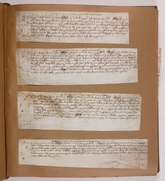 Joan Ellyse - witchcraft indictment