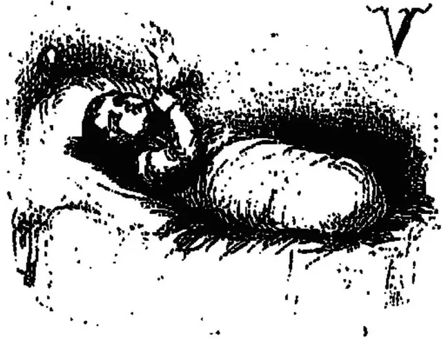 L’Ingénieux Hidalgo Don Quichotte de la Manche tome 1 illustration p. 681
