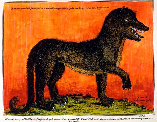 Bête du Gévaudan - The London Magazine