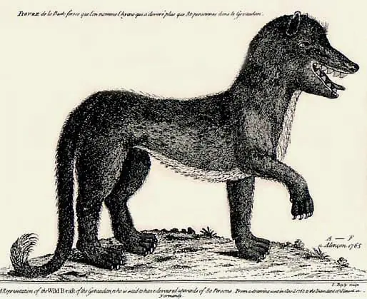 Gevaudanwolf