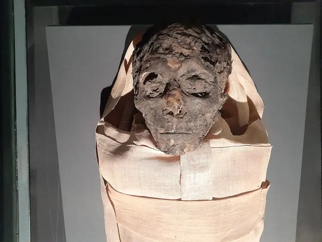 Ahmose I mummy 1