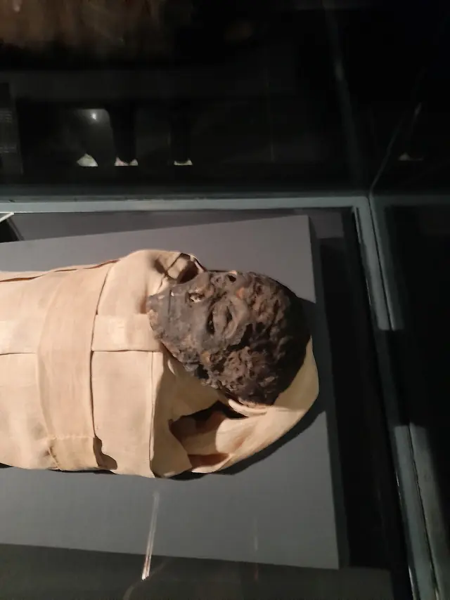 Ahmose I mummy 4
