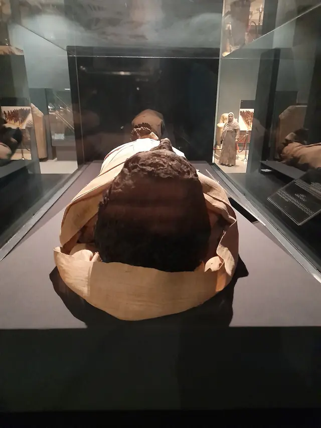 Ahmose I mummy, caudal view 1
