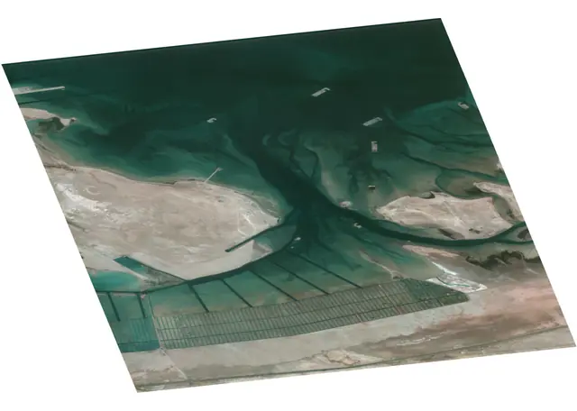 Abu Al Abyad Island, Abu Dhabi, Abu Dhabi Emirate, United Arab Emirates (wyvern dragonette-001 20241107T060700 4e89ebe5)