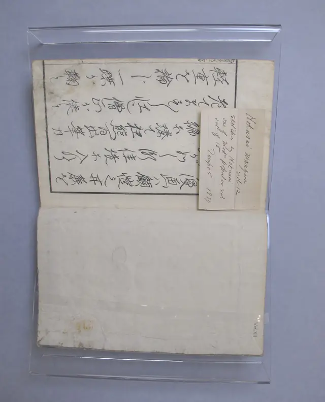 Random Sketches by Hokusai, Volume 12