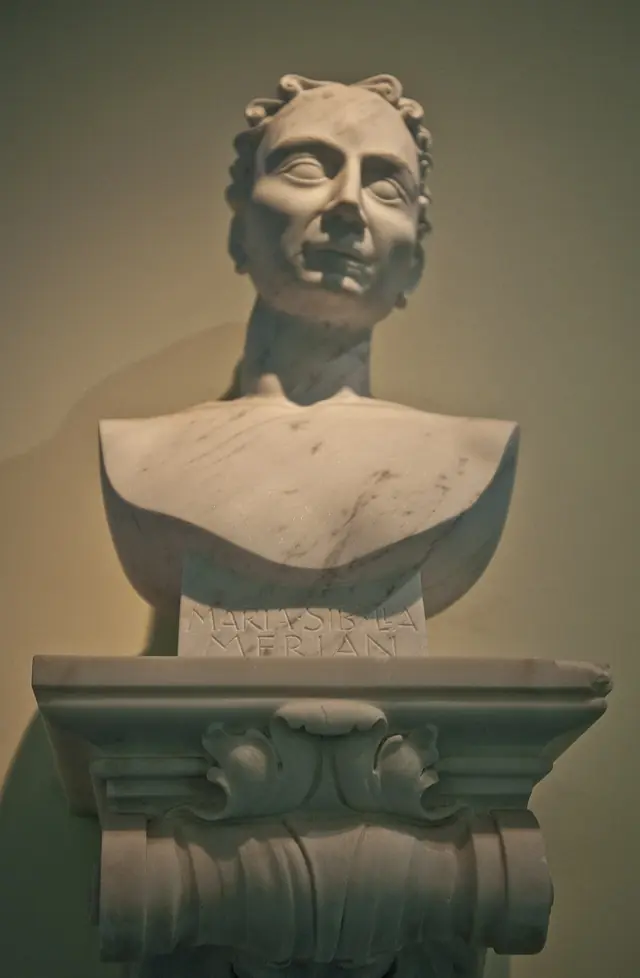 Maria-sybilla-merian hg