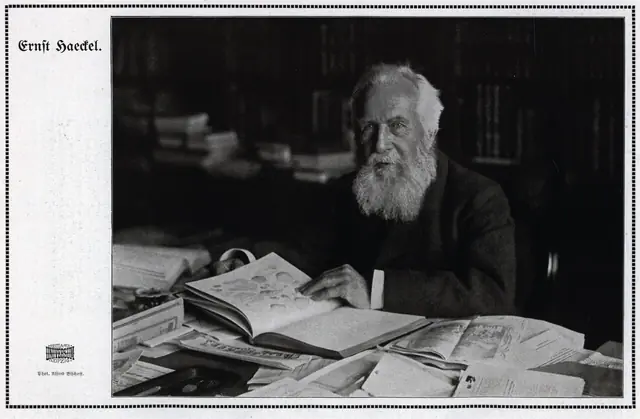 Ernst Haeckel 1914
