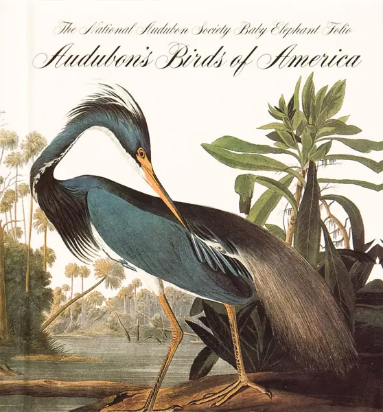 Audubon Birds of America