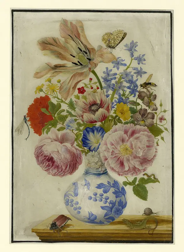 Kupferstichkabinett (SMB) Maria Sibylla Merian 1039210