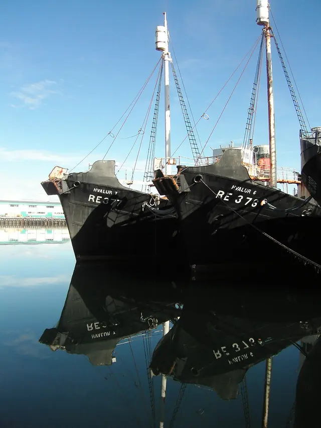 September 2006, Hvalur whaling ships in Reykjavik port 12