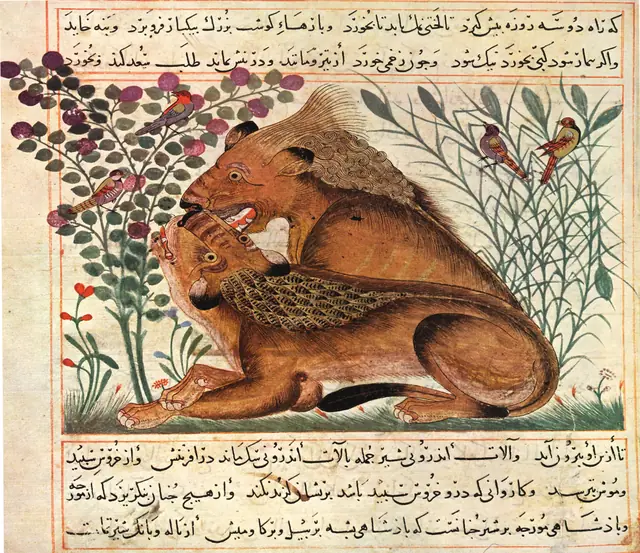 Ibn Bukhtishu - Manafi' al-Hayawan - Folio II Recto