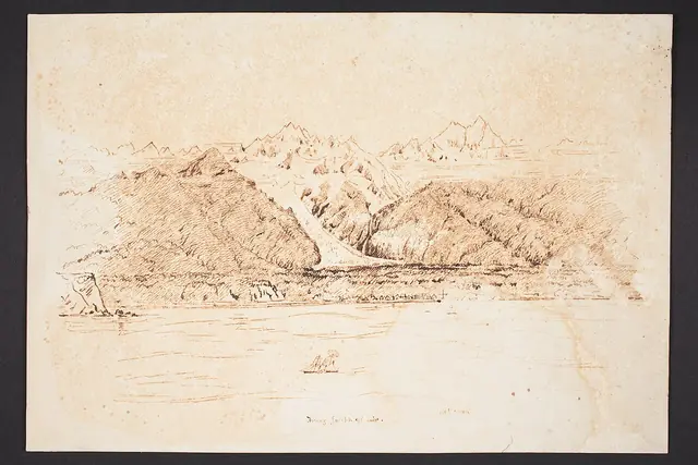 Franz Joseph Glacier (48753172346)