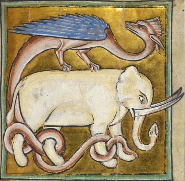 Elephant et dragon royal MS12