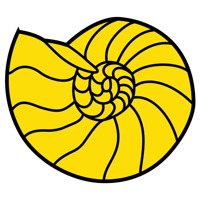 Ammonite with possible overlap or dual spiral