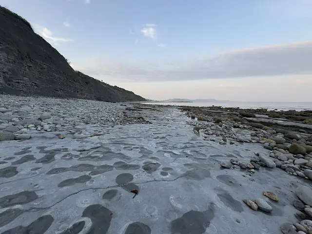 Ammonite Pavement