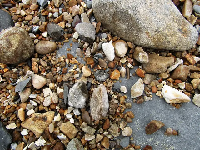 A Pyrite Ammonite on Charmouth Beach