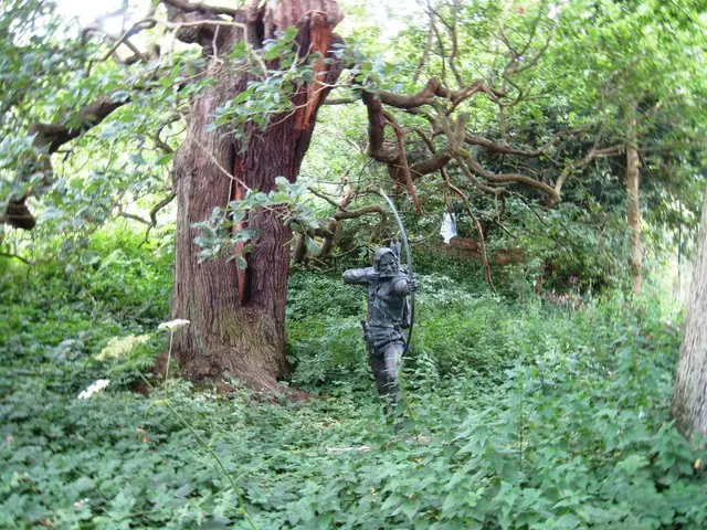 Robin Hood, Sherwood Forest - geograph.org.uk - 2501397