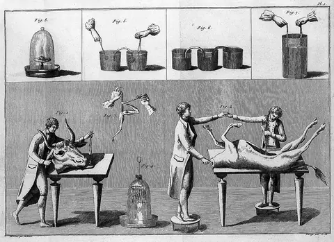 Giovanni Aldini, galvanism experiments
