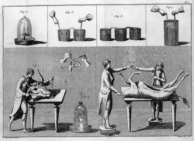 Giovanni Aldini, galvanism experiments
