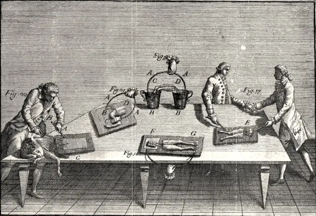 De Viribus Electricitatis in Motu Musculari, di Luigi Galvani, tavola 4