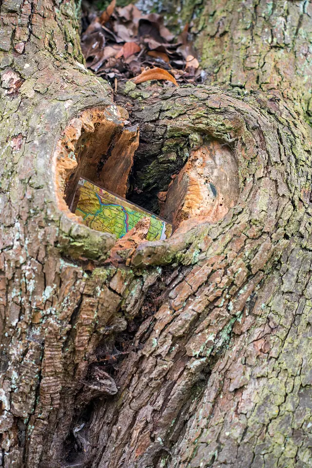 Heilbronn - Böckingen - Kreuzgrund - Kleingärten - Baumhöhle mit Schatzkarte (1)