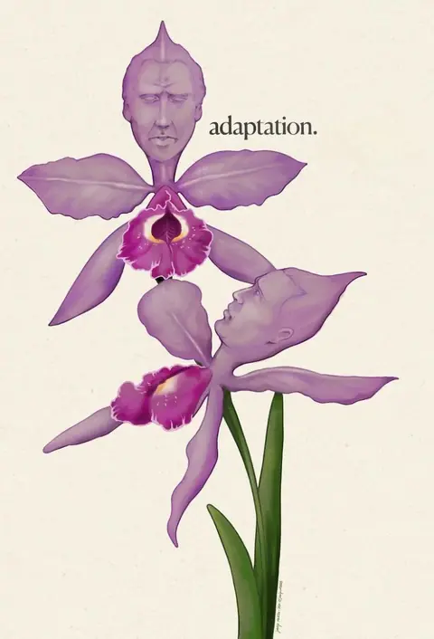 Adaptation