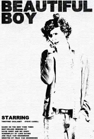 Beautiful Boy