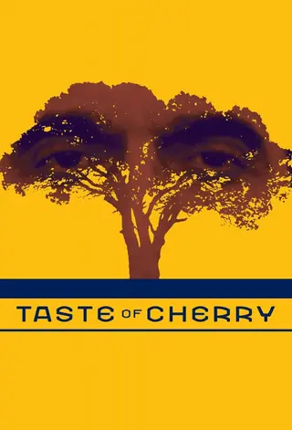El sabor de las cerezas