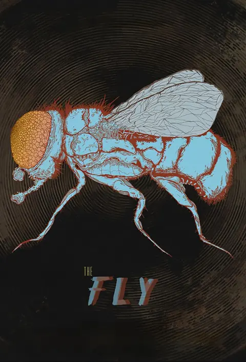 The Fly