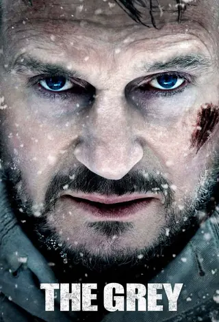 The grey