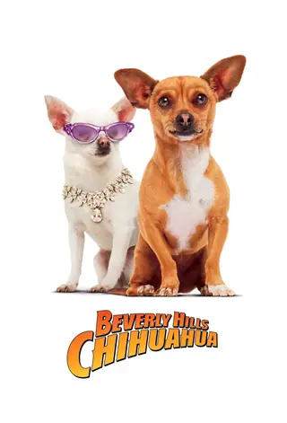 Un Chihuahua en Beverly Hills