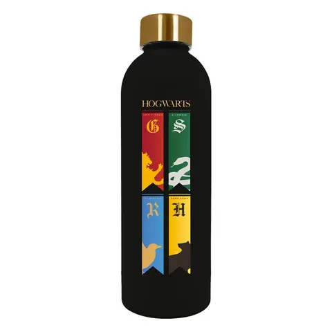 Harry Potter stainless steel soft touch water bottle 800ml