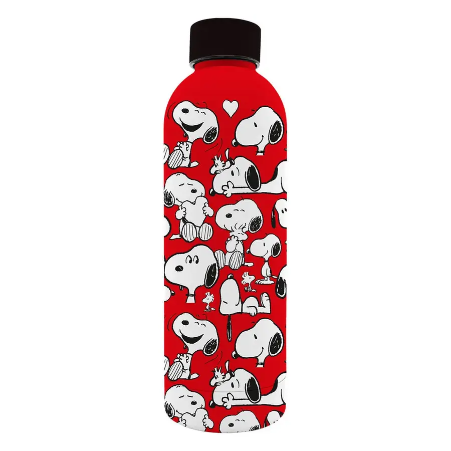 Botella suave acero inoxidable Snoopy Peanuts 800ml